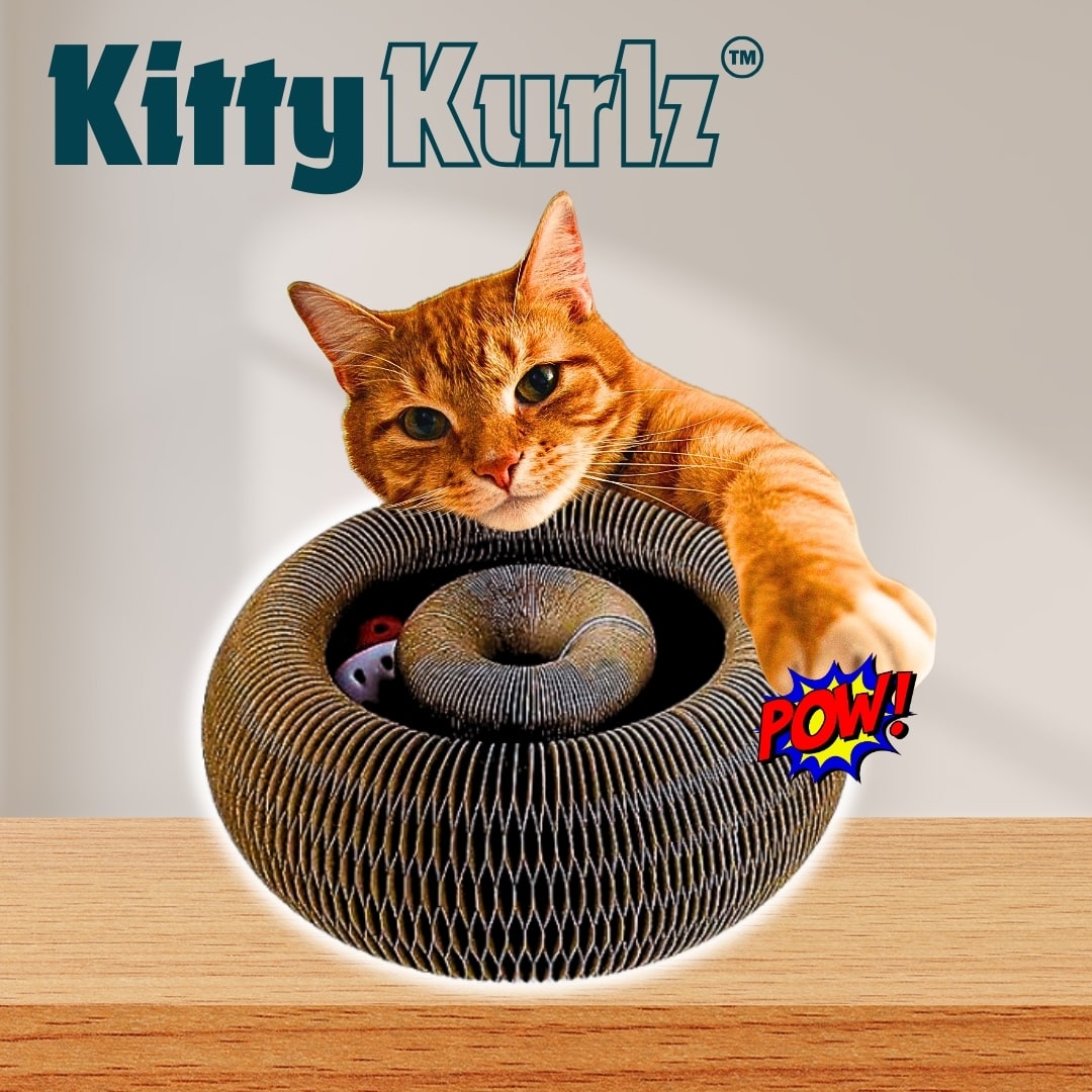 Kitty Spécial Collection