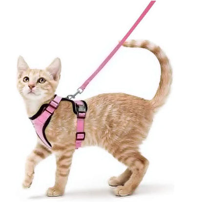 Cat Harness and Leash for Walking, Escape Proof Soft Adjustable Vest Harnesses for Cats, Easycontrol