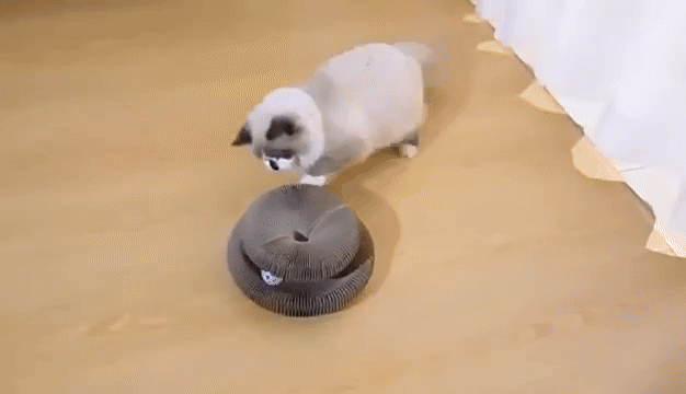 Kitty Kurlz™ [Buy 1, Get 1 Free]